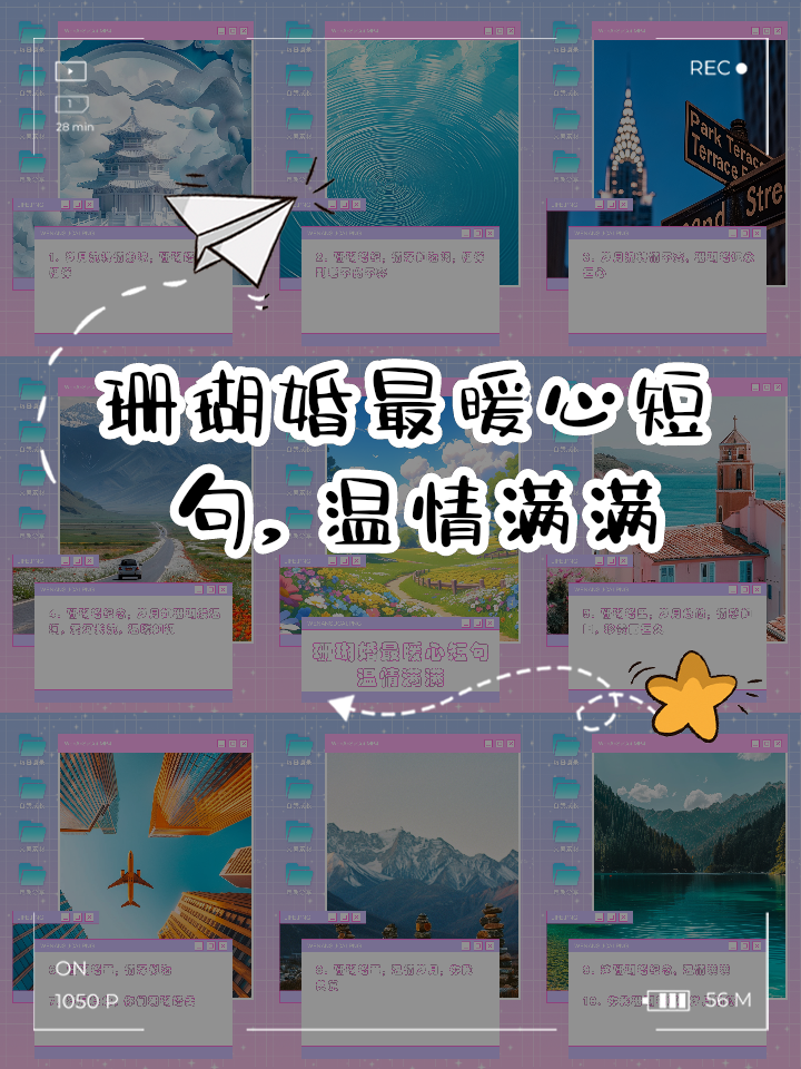 珊瑚婚最暖心短句,温情满满